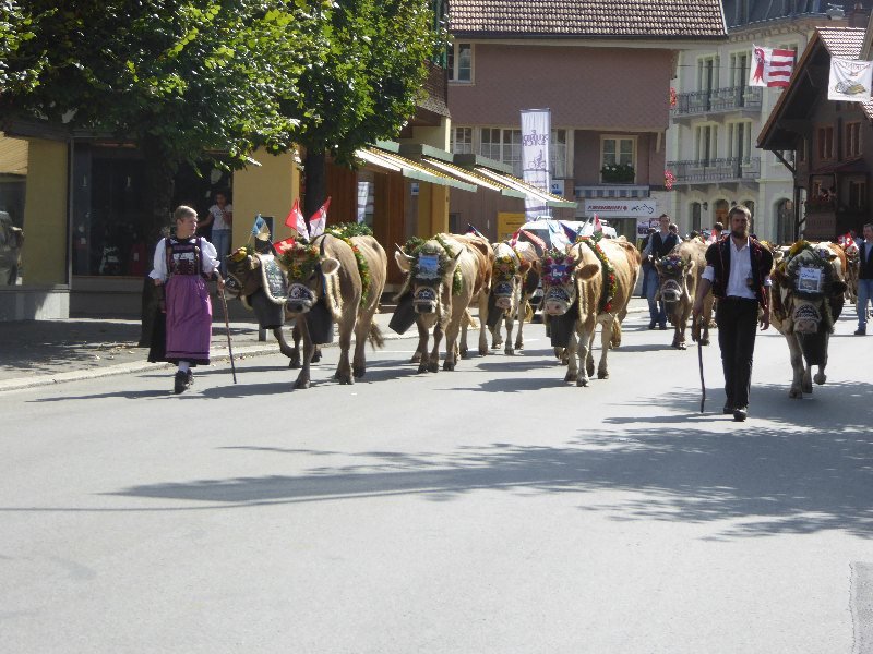 Alpabzug