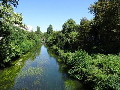 DSC08803
