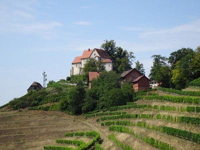 DSC08860