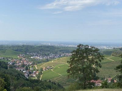 IMG 0748