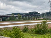 IMG_6825